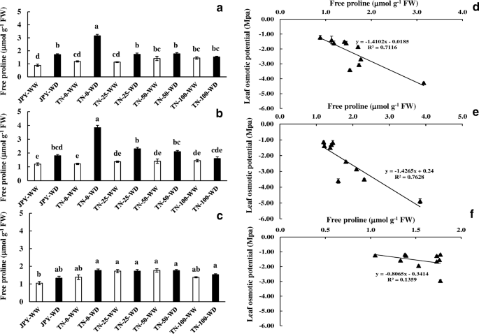 Foliar Application Of Glycinebetaine Regulates Soluble Sugars And Modulates Physiological Adaptations In Sweet Potato Ipomoea Batatas Under Water Deficit Springerlink