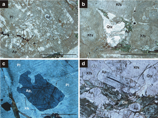 The petrogenesis of granitoid rocks unusually rich in apatite in the  Western Tatra Mts. (S-Poland, Western Carpathians) | Mineralogy and  Petrology