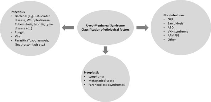 the clinical importance of uveomeningeal syndromes springerlink