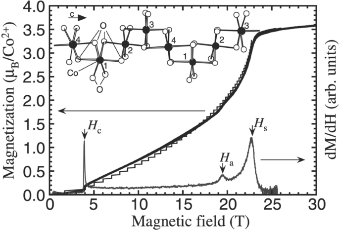 Magnetic Excitation in the S = 1/2 One-Dimensional Antiferromagnet with ...