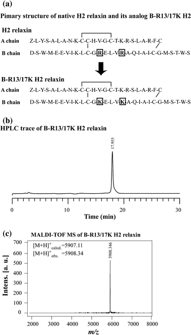 The Chemically Synthesized Human Relaxin 2 Analog B R13 17k H2 Is An Rxfp1 Antagonist Springerlink