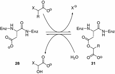 scheme 12