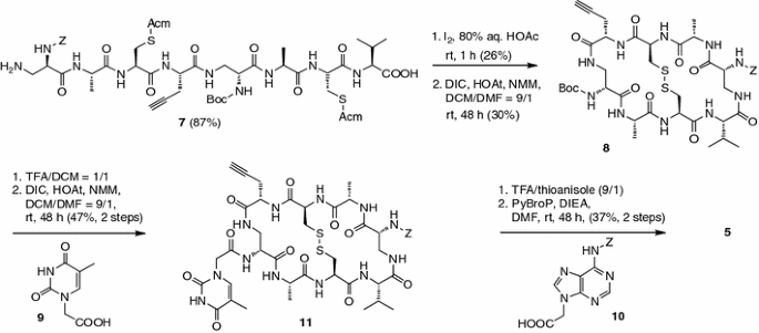 scheme 2