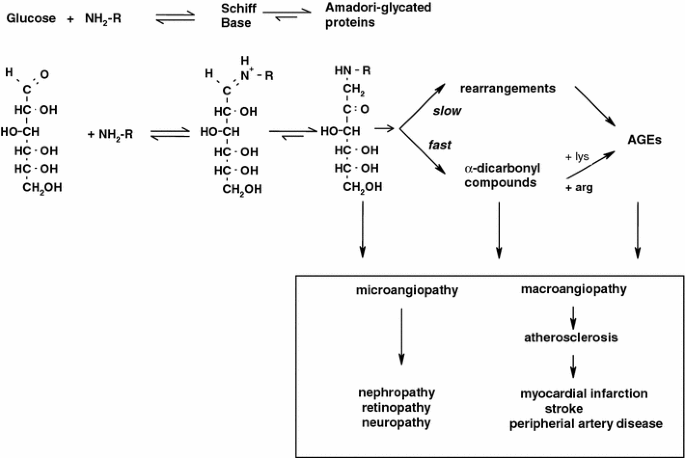 Early- and advanced non-enzymatic gly