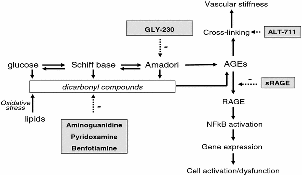 Early- and advanced non-enzymatic gly