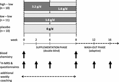 Effect Of Two B Alanine Dosing Protocols On Muscle Carnosine Synthesis And Washout Springerlink