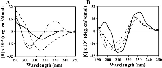 Effect Of Repetitive Lysine Tryptophan Motifs On The Bactericidal Activity Of Antimicrobial Peptides Springerlink