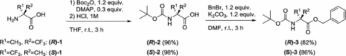 scheme 1