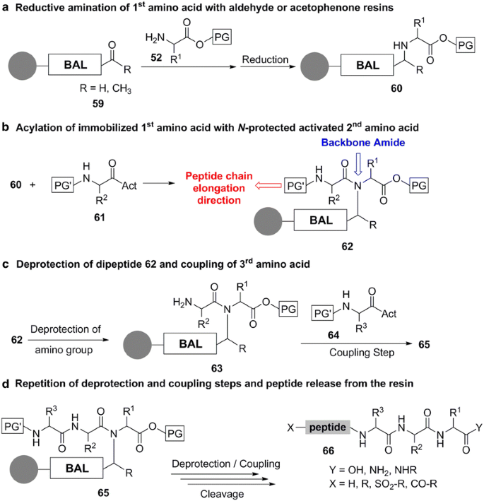 Solid phase peptide synthesis utilizing 9‐fluorenylmethoxycarbonyl amino  acids - FIELDS - 1990 - International Journal of Peptide and Protein  Research - Wiley Online Library