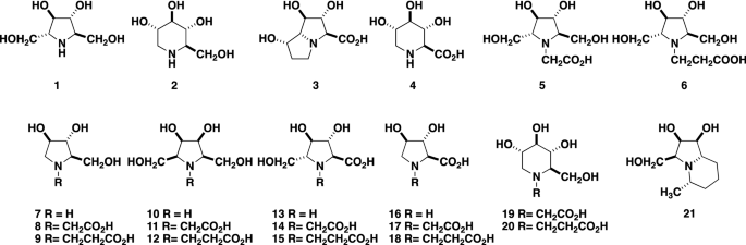 Isolation From Stevia Rebaudiana Of Dmdp Acetic Acid A Novel Iminosugar Amino Acid Synthesis And Glycosidase Inhibition Profile Of Glycine And B Alanine Pyrrolidine Amino Acids Springerlink Isolation From Stevia Rebaudiana Of Dmdp Acetic Acid A Novel Iminosugar Amino Acid Synthesis And Glycosidase Inhibition Profile Of Glycine And B Alanine Pyrrolidine Amino Acids Springerlink