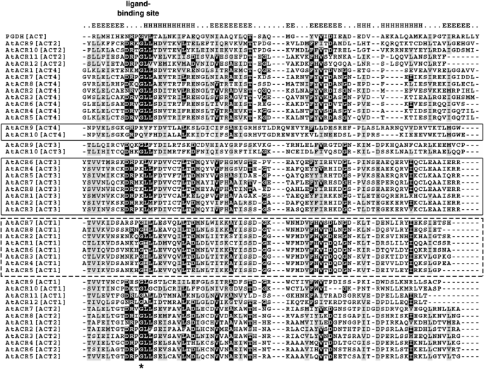 The Lineage And Diversity Of Putative Amino Acid Sensor Acr Proteins In Plants Springerlink The Lineage And Diversity Of Putative Amino Acid Sensor Acr Proteins In Plants Springerlink