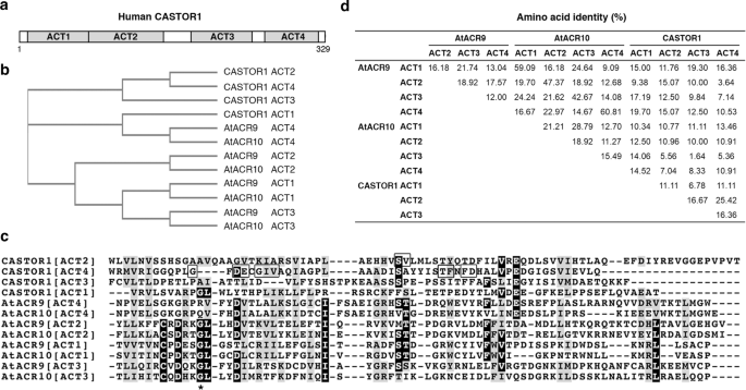 The Lineage And Diversity Of Putative Amino Acid Sensor Acr Proteins In Plants Springerlink The Lineage And Diversity Of Putative Amino Acid Sensor Acr Proteins In Plants Springerlink