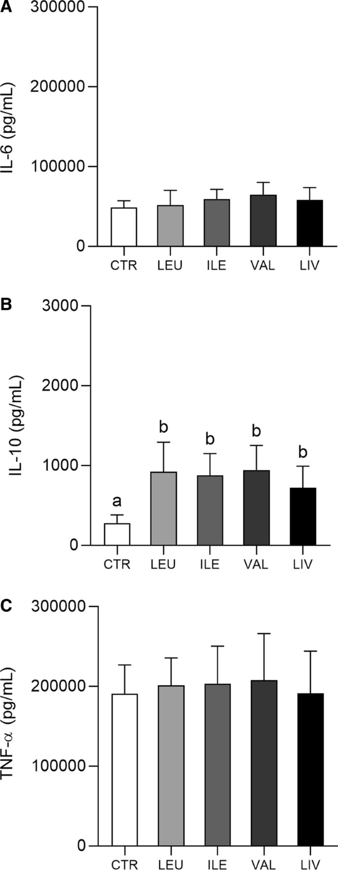 Effects Of Different Branched Chain Amino Acids Supplementation Protocols On The Inflammatory Response Of Lps Stimulated Raw 264 7 Macrophages Springerlink