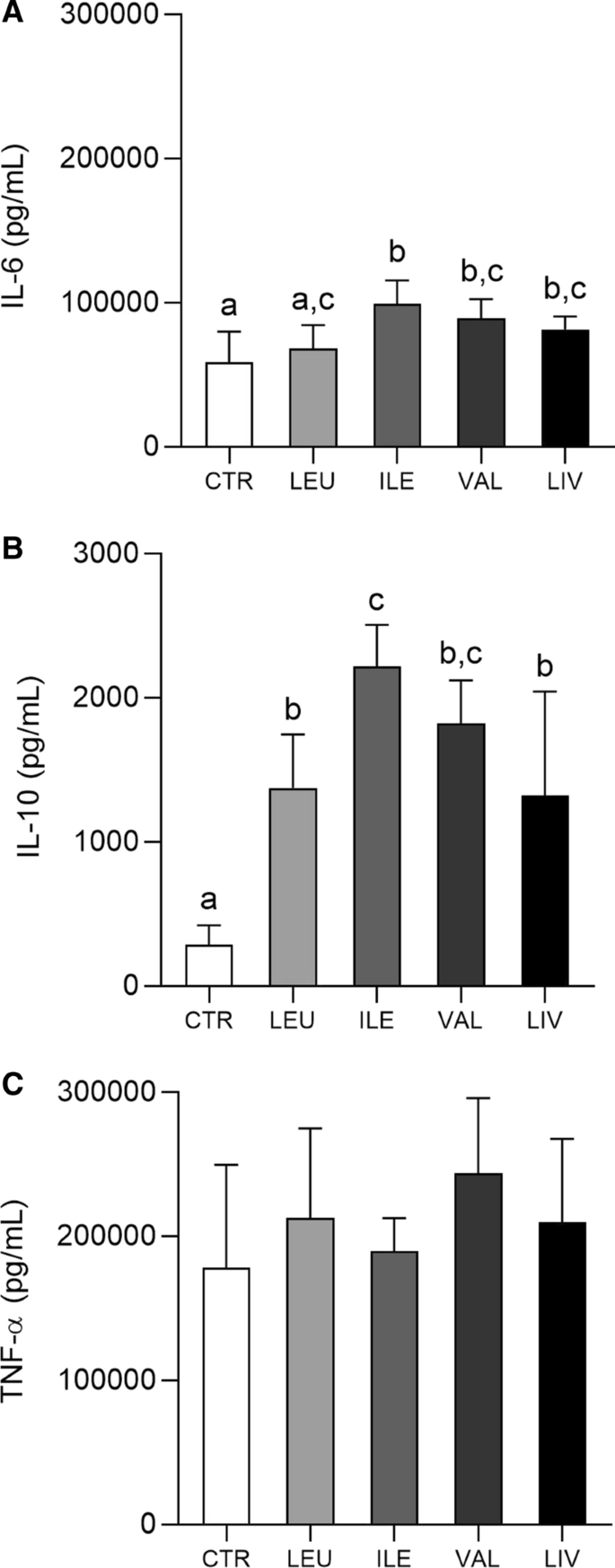 Effects Of Different Branched Chain Amino Acids Supplementation Protocols On The Inflammatory Response Of Lps Stimulated Raw 264 7 Macrophages Springerlink