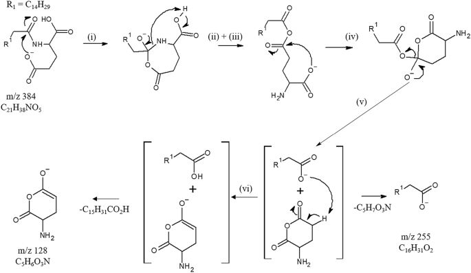 scheme 3