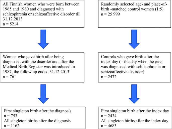 Schizophrenia and pregnancy: a national register-based follow-up study  among Finnish women born between 1965 and 1980 | SpringerLink