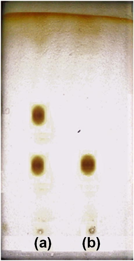 Thin Layer Chromatographic Enantioseparation Of Atenolol And Propranolol Using S Naproxen As Chiral Selector Direct And Indirect Approaches Springerlink