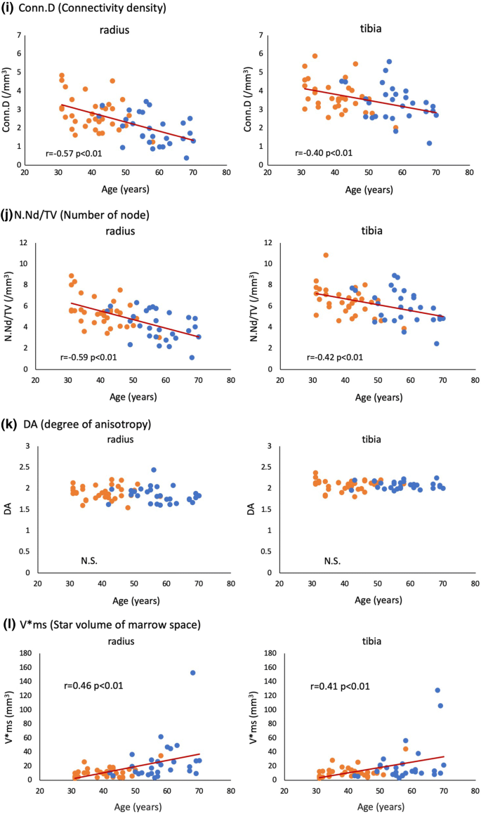 Deterioration Of Bone Microstructure By Aging And Menopause In Japanese Healthy Women Analysis By Hr Pqct Springerlink