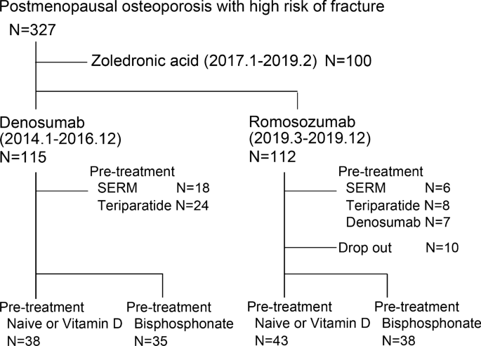 Effects After Starting Or Switching From Bisphosphonate To Romosozumab Or Denosumab In Japanese Postmenopausal Patients Springerlink