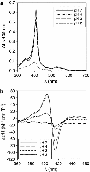 Cloning Expression And Physicochemical Characterization Of A New Diheme Cytochrome C From Shewanella Baltica Os155 Springerlink Cloning Expression And Physicochemical Characterization Of A New Diheme Cytochrome C From Shewanella Baltica Os155 Springerlink