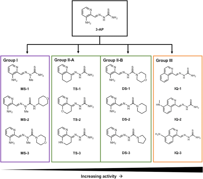 Activity And Electrochemical Properties Iron Complexes Of The Anticancer Drug Triapine And Its Analogs Springerlink