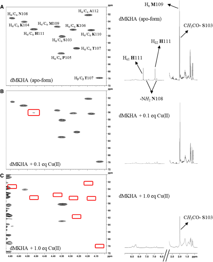 Metal coordination and peripheral substitution modulate the activity of  cyclic tetrapyrroles on αS aggregation: a structural and cell-based study