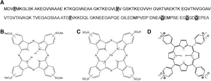 Metal coordination and peripheral substitution modulate the activity of  cyclic tetrapyrroles on αS aggregation: a structural and cell-based study