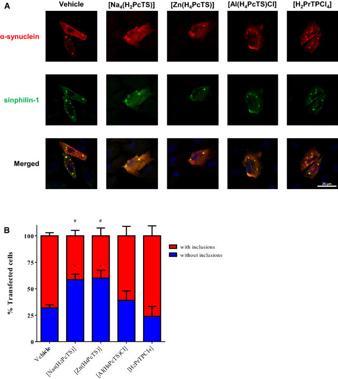 Metal coordination and peripheral substitution modulate the activity of  cyclic tetrapyrroles on αS aggregation: a structural and cell-based study