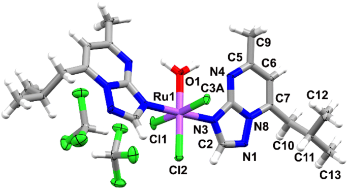 Synthesis Structure And Biological Evaluation Of Ruthenium Iii Complexes Of Triazolopyrimidines With Anticancer Properties Springerlink