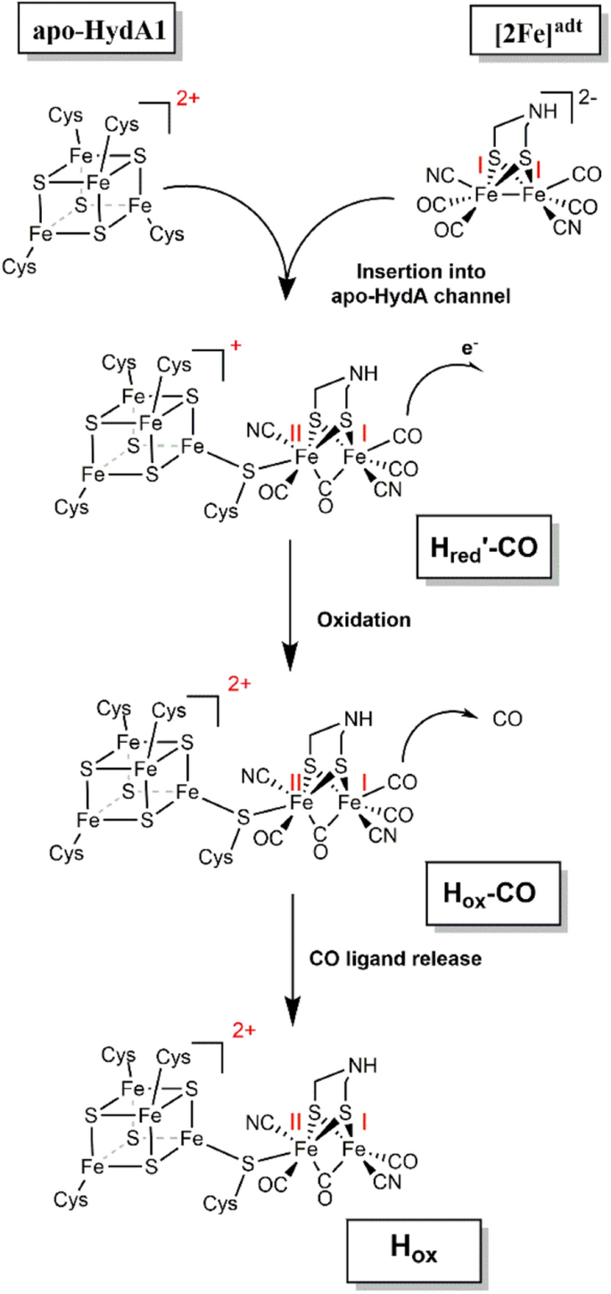 scheme 1