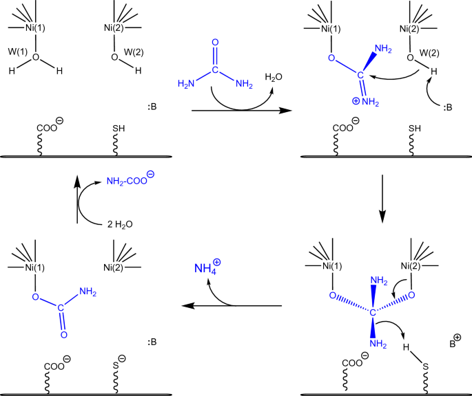 scheme 3