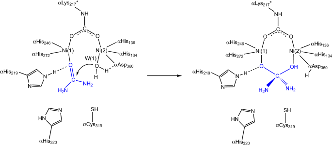 scheme 4