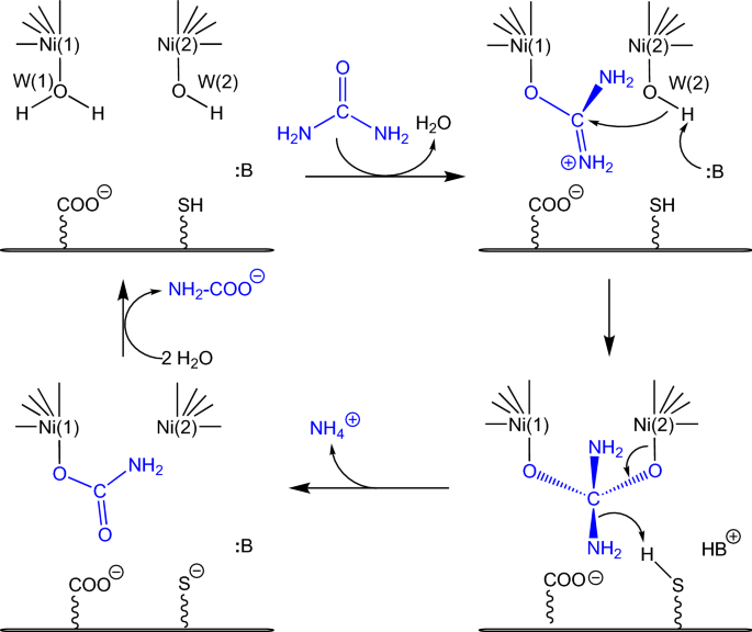 scheme 3