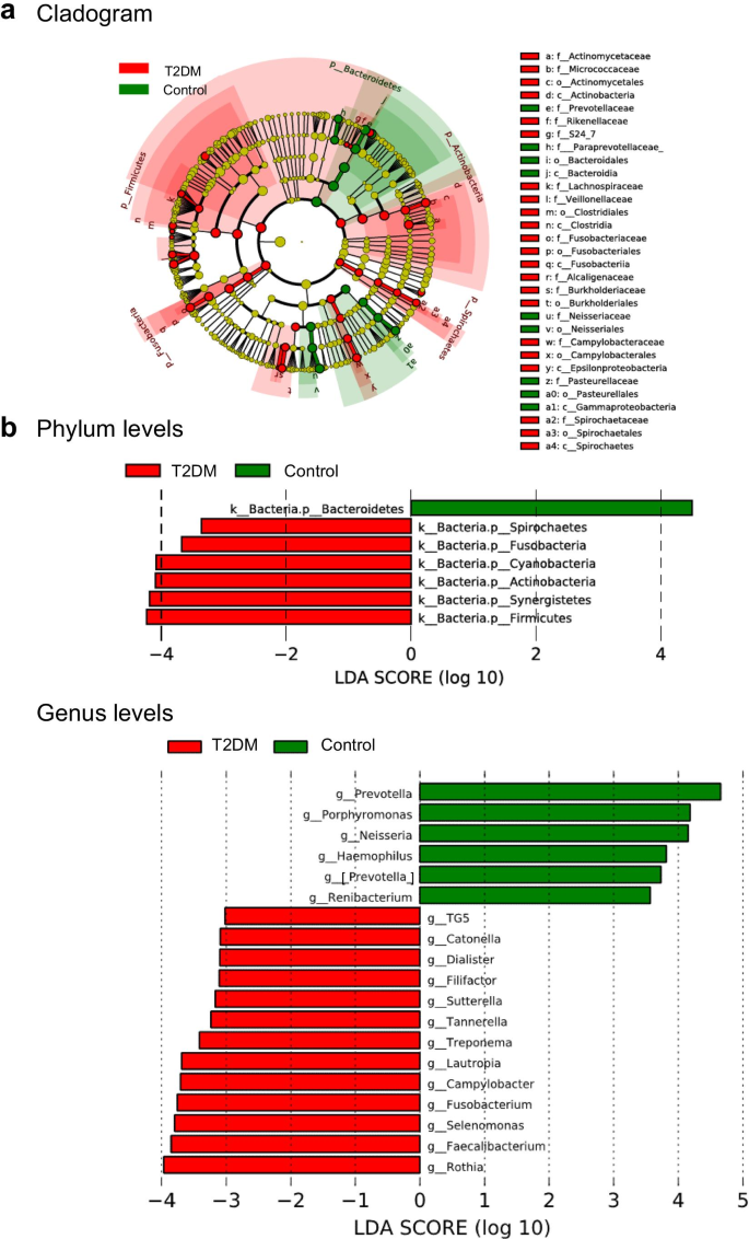 Characterization Of Salivary Microbiota In Elderly Patients With Type 2 Diabetes Mellitus A Matched Case Control Study Springerlink Characterization Of Salivary Microbiota In Elderly Patients With Type 2 Diabetes Mellitus A Matched Case Control Study Springerlink