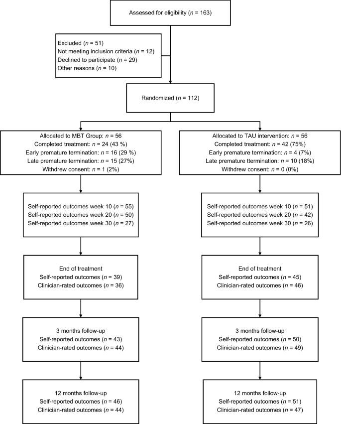 Mentalization-based treatment in groups for adolescents with Borderline Personality 3- and 12-month follow-up of controlled trial | SpringerLink