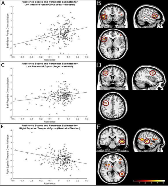Neural activation during processing of emotional faces as a function of ...