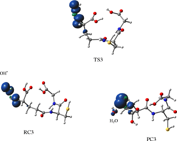 glutathion radical scavenger Free scavengers: An overview on heterocyclic advances and medicinal prospects Free Radical Scavengers || Free