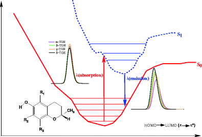 TDDFT prediction of UV–vis absorption and emission spectra of tocopherols  in different media | SpringerLink