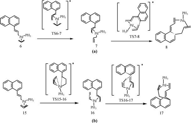 scheme 5