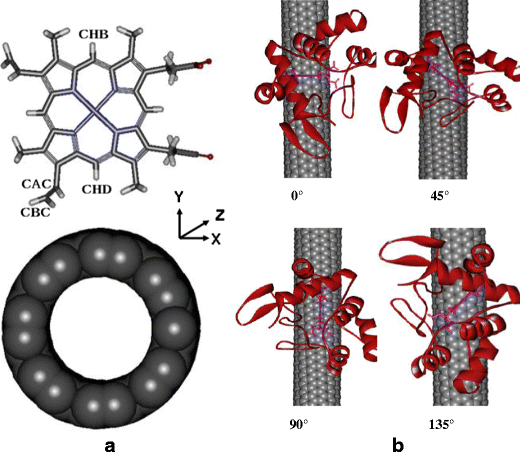 Molecular Dynamics Simulations Of The Orientation Properties Of Cytochrome C On The Surface Of Single Walled Carbon Nanotubes Springerlink Molecular Dynamics Simulations Of The Orientation Properties Of Cytochrome C On The Surface Of Single Walled Carbon Nanotubes Springerlink