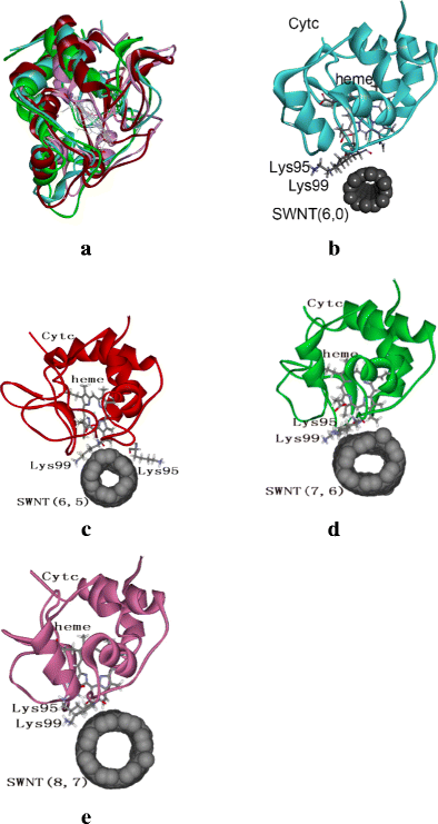 Molecular Dynamics Simulations Of The Orientation Properties Of Cytochrome C On The Surface Of Single Walled Carbon Nanotubes Springerlink Molecular Dynamics Simulations Of The Orientation Properties Of Cytochrome C On The Surface Of Single Walled Carbon Nanotubes Springerlink