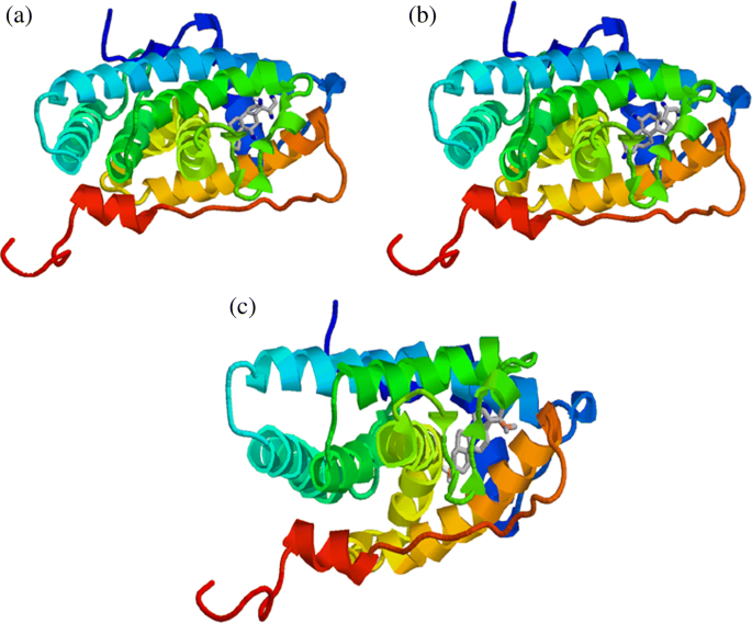 Exploring The Binding Properties Of Agonists Interacting With Glucocorticoid Receptor An In Silico Approach Springerlink