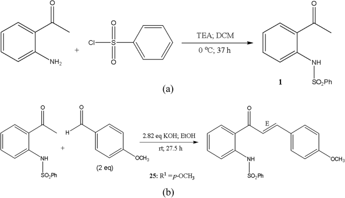 Experimental And Molecular Modeling Study Of A Novel Arylsulfonamide Chalcone Springerlink