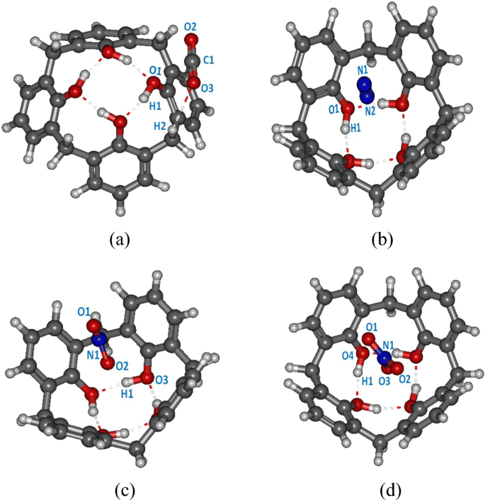 Host Guest Complexation Studies Of No 3 No 2 Co 2 And N 2 Gas With The Calix 4 Arene Molecule Springerlink