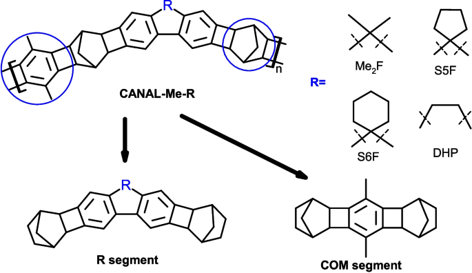 Chain rigidity of 3D-ladder polymers quantified by molecular ...