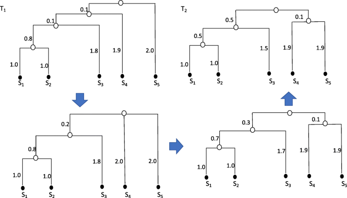 Answered: Let S = {S₁, S₂, S3, S4, S5} be a…