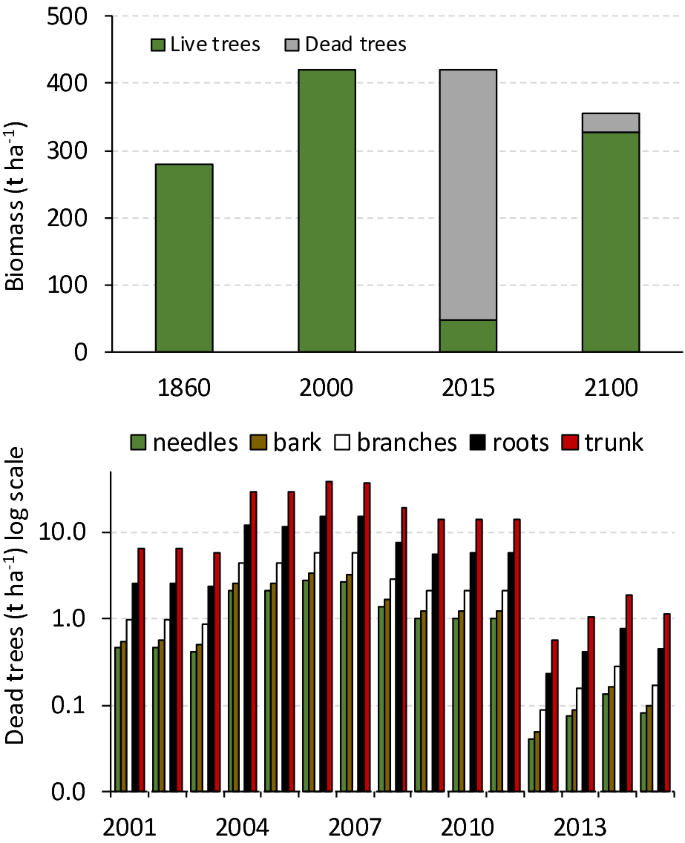 Effects of Bark Beetle Disturbance on Soil Nutrient Retention and Lake  Chemistry in Glacial Catchment | SpringerLink