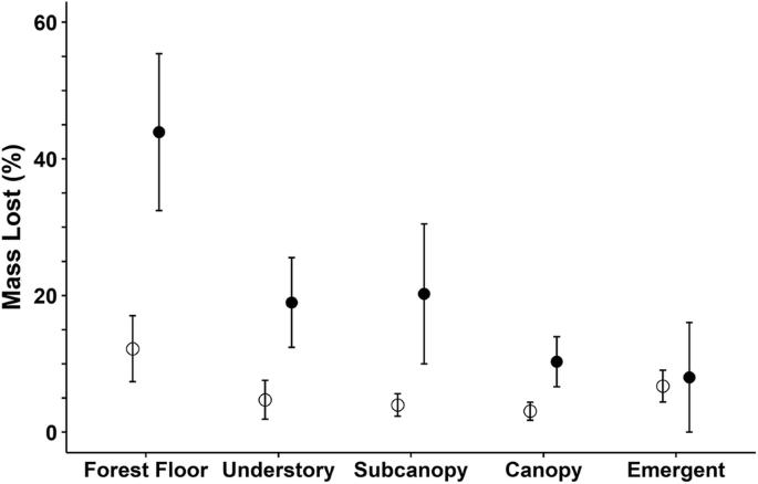 Microbial Composition and Wood Decomposition Rates Vary with Microclimate From the Ground to the Canopy in a Tropical Forest