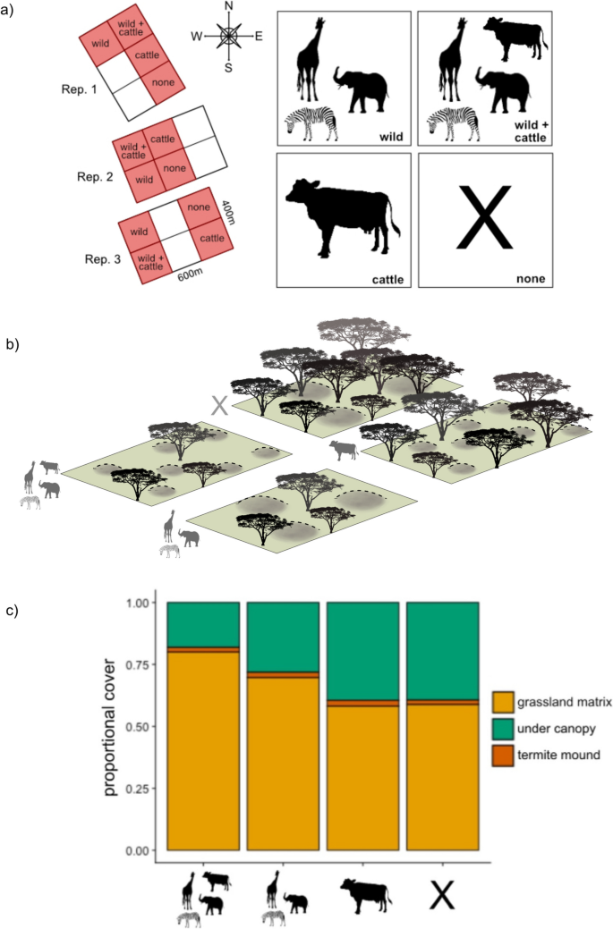 Labile Soil Carbon Heterogeneity Driven by Consumer Engineering of ...