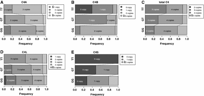 Identification Of A Significant Association Of A Single Nucleotide Polymorphism In Tnxb With Systemic Lupus Erythematosus In A Japanese Population Journal Of Human Genetics